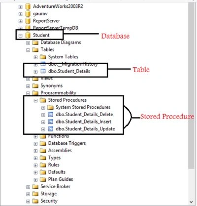 Stored Procedure