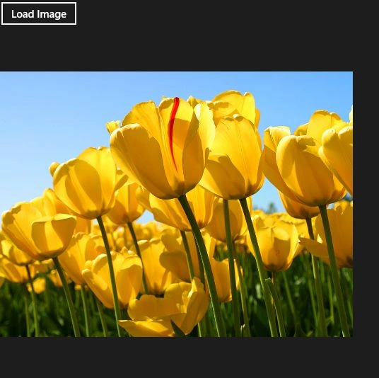 Load-Image-From-Application-Uri-In-Windows-Store-Apps.jpg