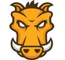 npm install