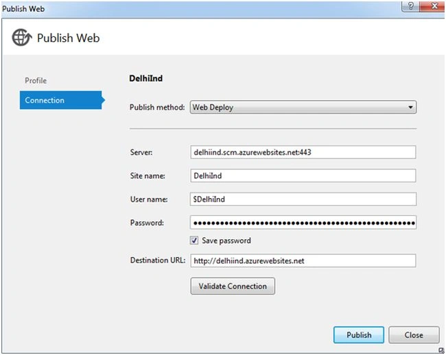 publish web