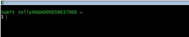 Cygwin