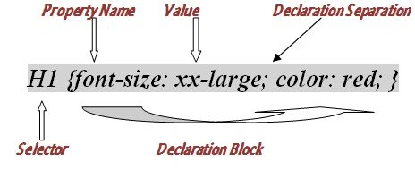 CSS-1.jpg