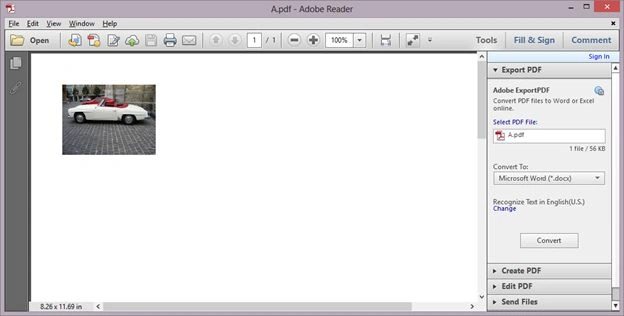 image in the PDF file