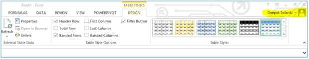 MS Excel 2013