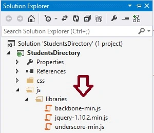 libraries folder