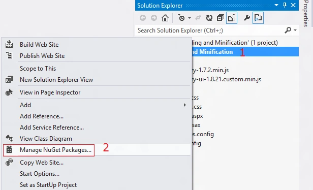 Manage NuGet Packages