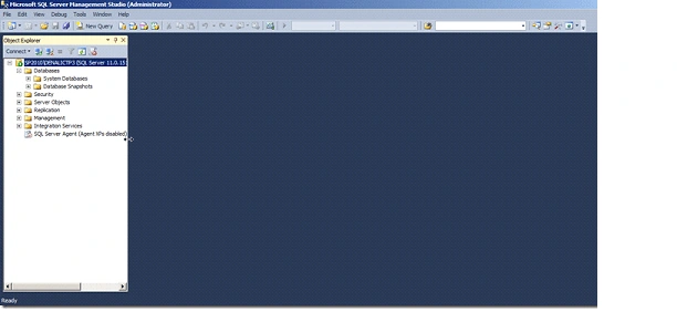 SSMS Developement Process