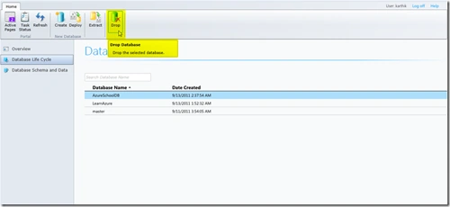 Database ribbon button