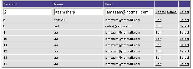 datagrid-azam-in-VB.NET.jpg