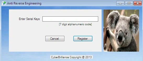 Dot net application