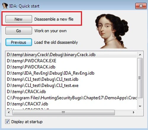IDA Pro