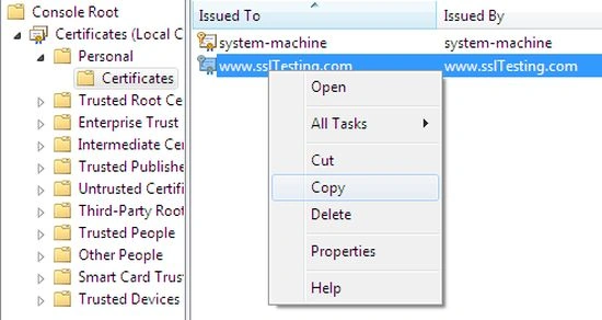copy site address
