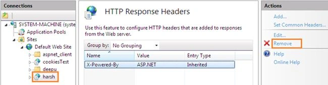 Response Header
