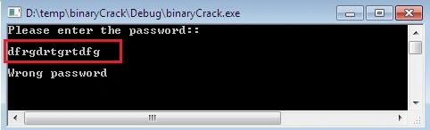 BinaryDebug