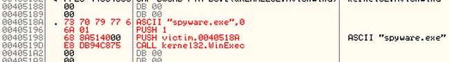Injected Assembly Code