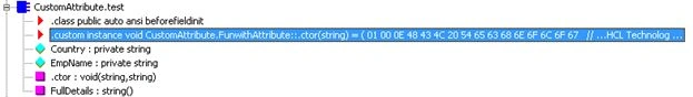 custom attribute