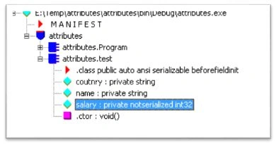 NonSerialization