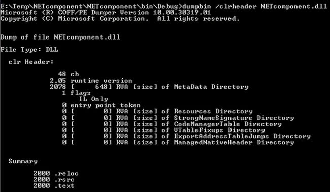 CLR File Header