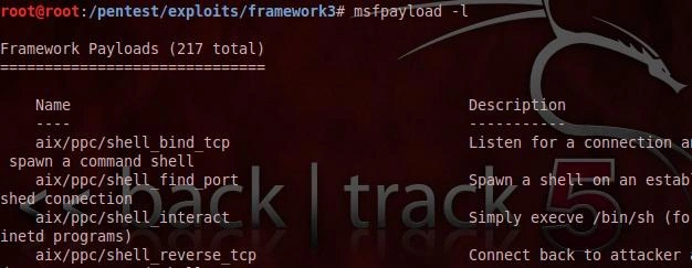 payload msf