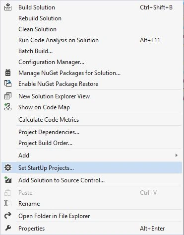 click Set StartUp Projects