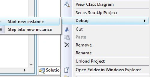 Starting-a-new-instance-of-the-project.jpg