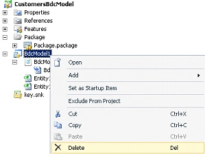 bdcmodel.gif