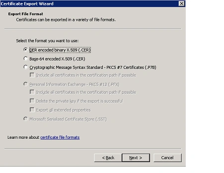 DER encoded binary in mmc