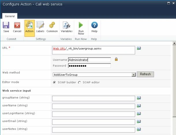 Web Service Input section