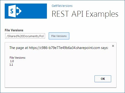 File Versions