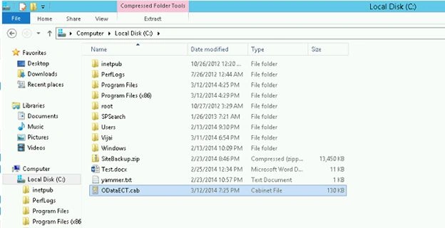 WSP file