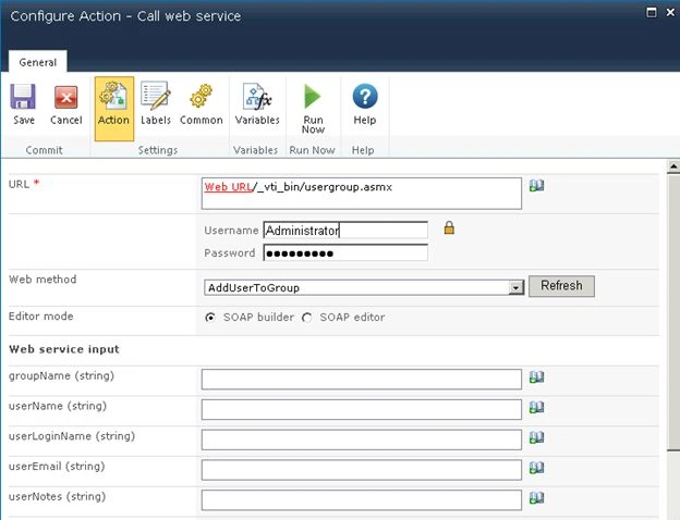 Web Service Input