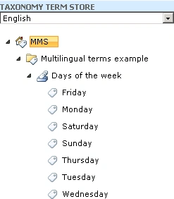 Multilingual1.gif