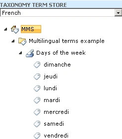 Multilingual4.gif
