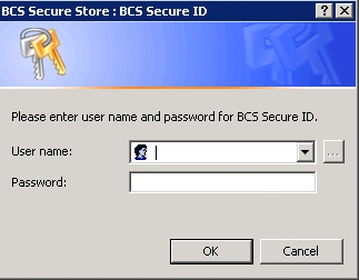 bcs secure store in sharepoint2010