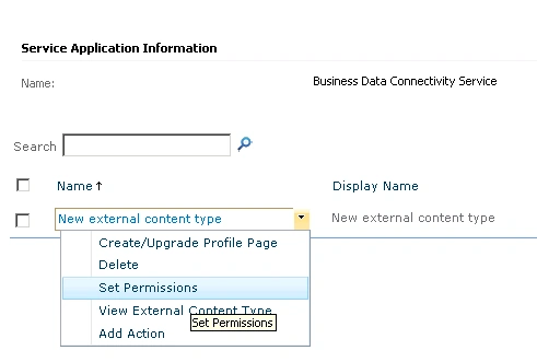 server application in sharepoint 2010