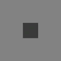 image1.gif