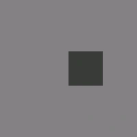 image2.gif