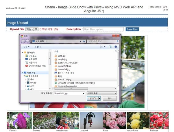 root folder