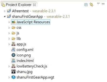 Project Explorer