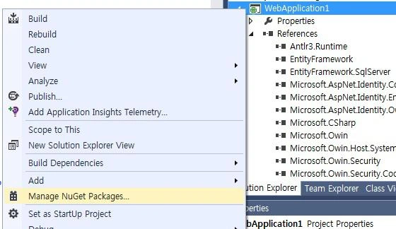 web template