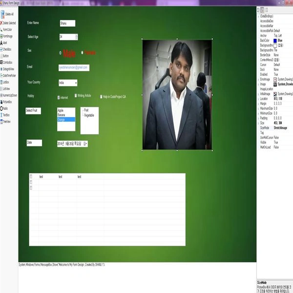 Windows Form Design