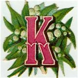 krupali busa