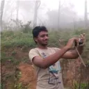 Harieswaran D