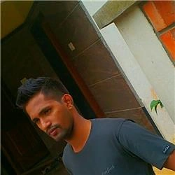 Dinto T