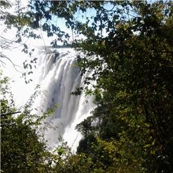Chibuye Nsakanya
