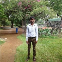 G Sreenivasulu
