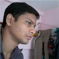 nitai panda