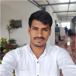 Elayaraj P