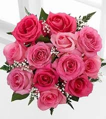 Carnation Flowers