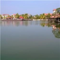 Sudarshan Bhat